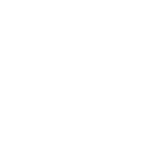 HC 2025 Best of Winner White